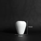 Coil S | Tabletop Decorative Planter |
