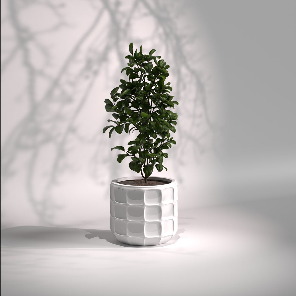 Matrix | Modern FRP Planter