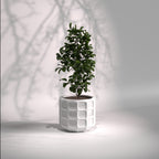 Matrix | Modern FRP Planter