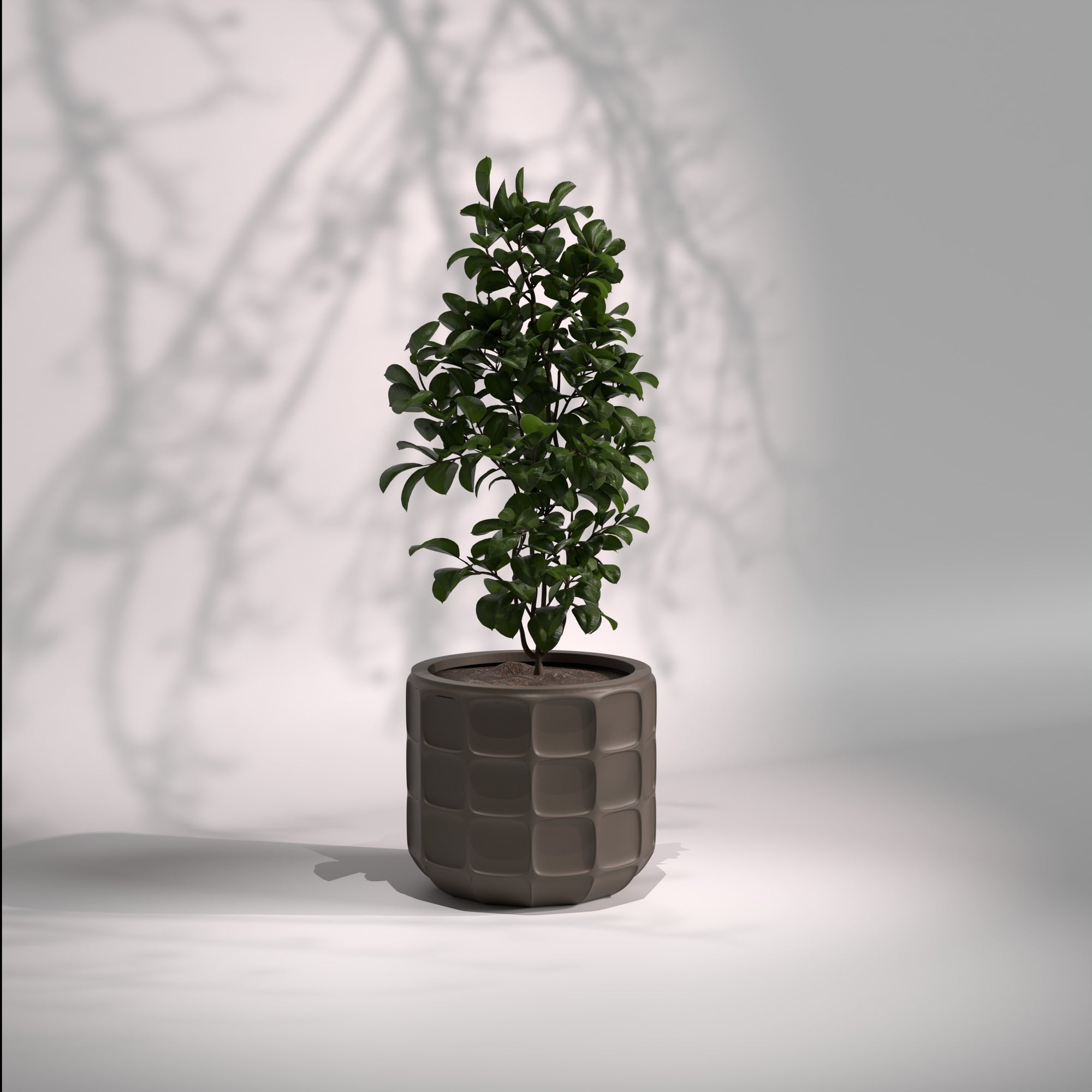 Matrix | Modern FRP Planter