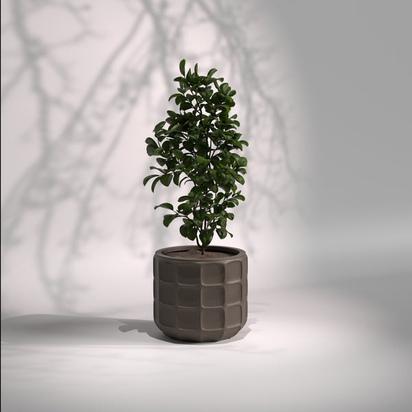 Matrix | Modern FRP Planter