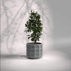 Matrix | Modern FRP Planter