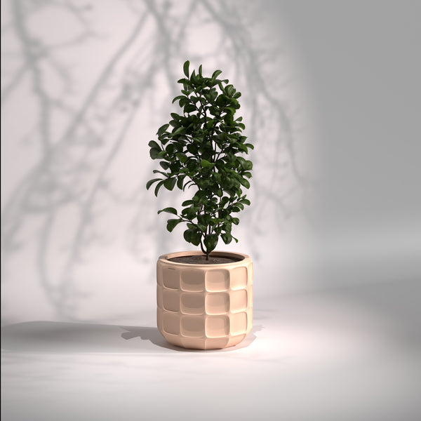 Matrix | Modern FRP Planter