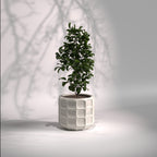 Matrix | Modern FRP Planter