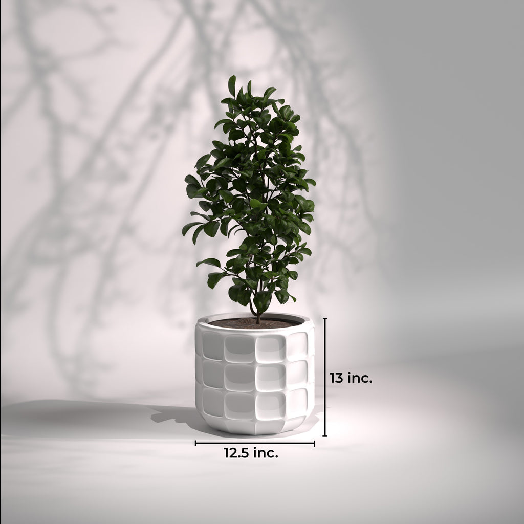 Matrix | Modern FRP Planter
