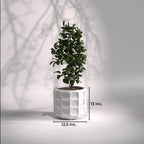 Matrix | Modern FRP Planter