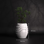 Wavesum - M | Modern FRP Planter