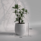 Tacto Planter | Modern FRP Planter