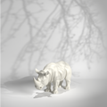 X- rhino