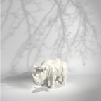 X- rhino