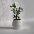 Tacto Planter | Modern FRP Planter