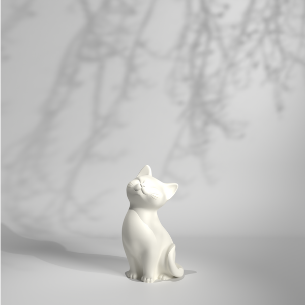 Kitty Boo