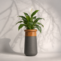 Mingle - L  FRP Planter