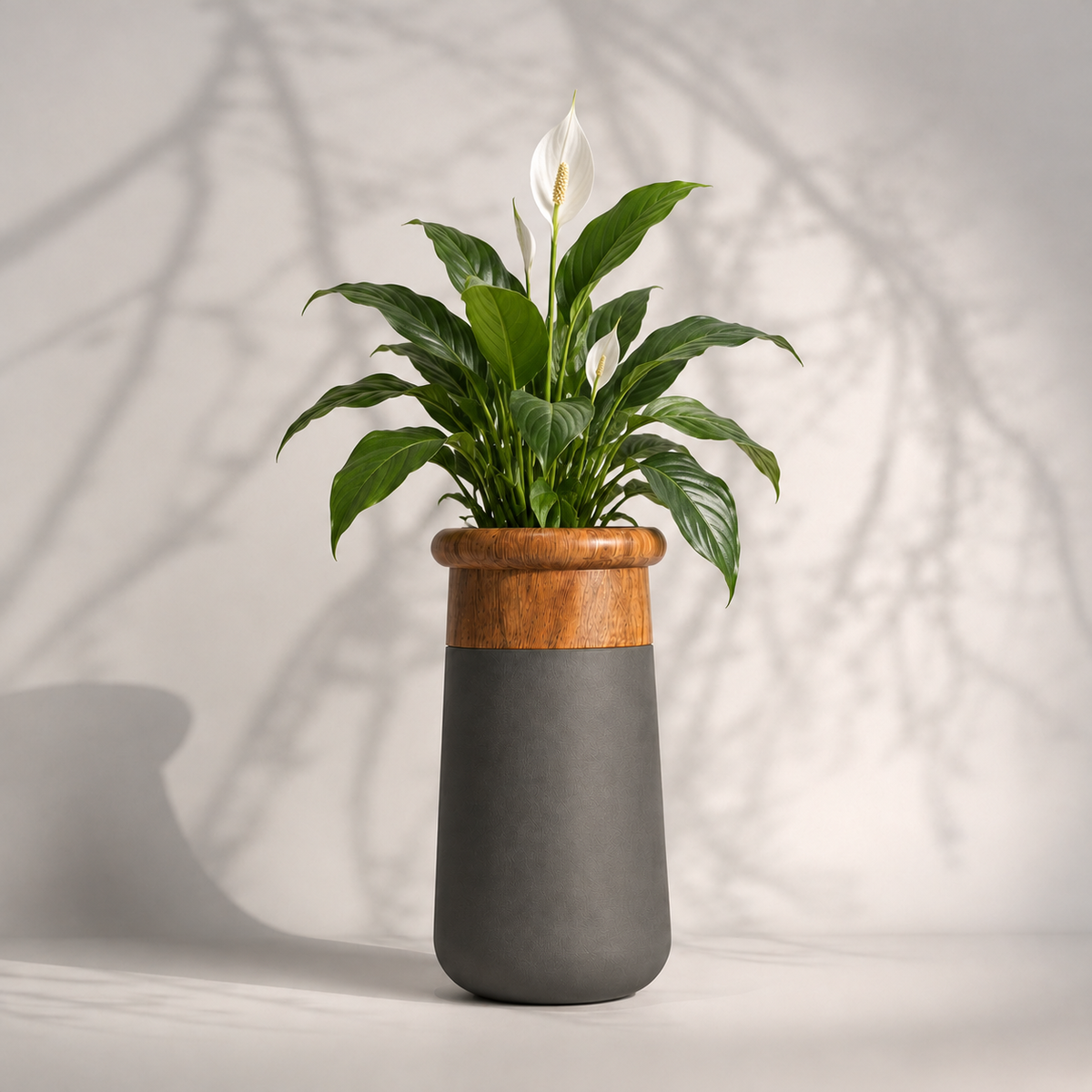Mingle - L  FRP Planter