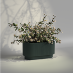 Flucobo - Luxurious FRP Planter