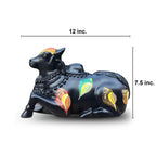 Black Medium Nandi