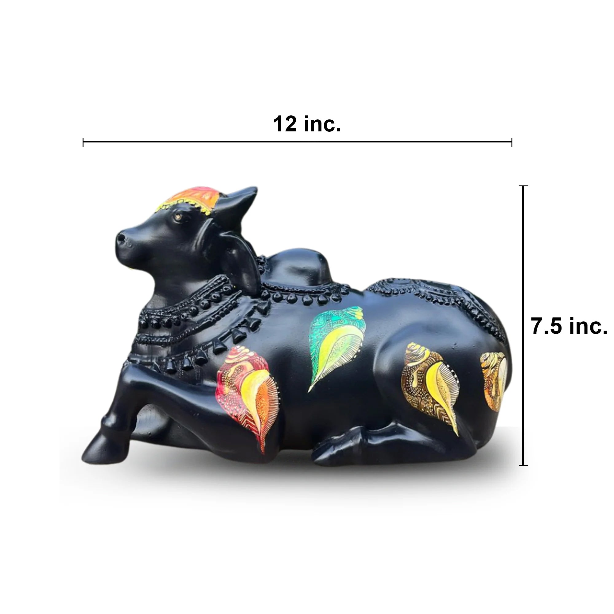 Black Medium Nandi