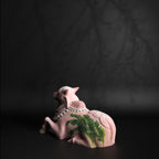 Pink Medium Nandi