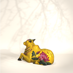Yellow Medium Nandi