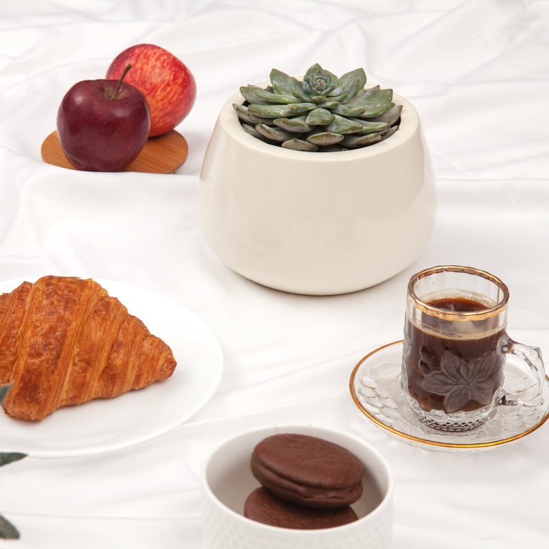 Blob M Gallery by The Workshop