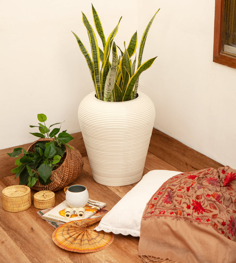 Coil M Gallery by The Workshop