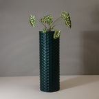 Manza L Gallery by The Workshop