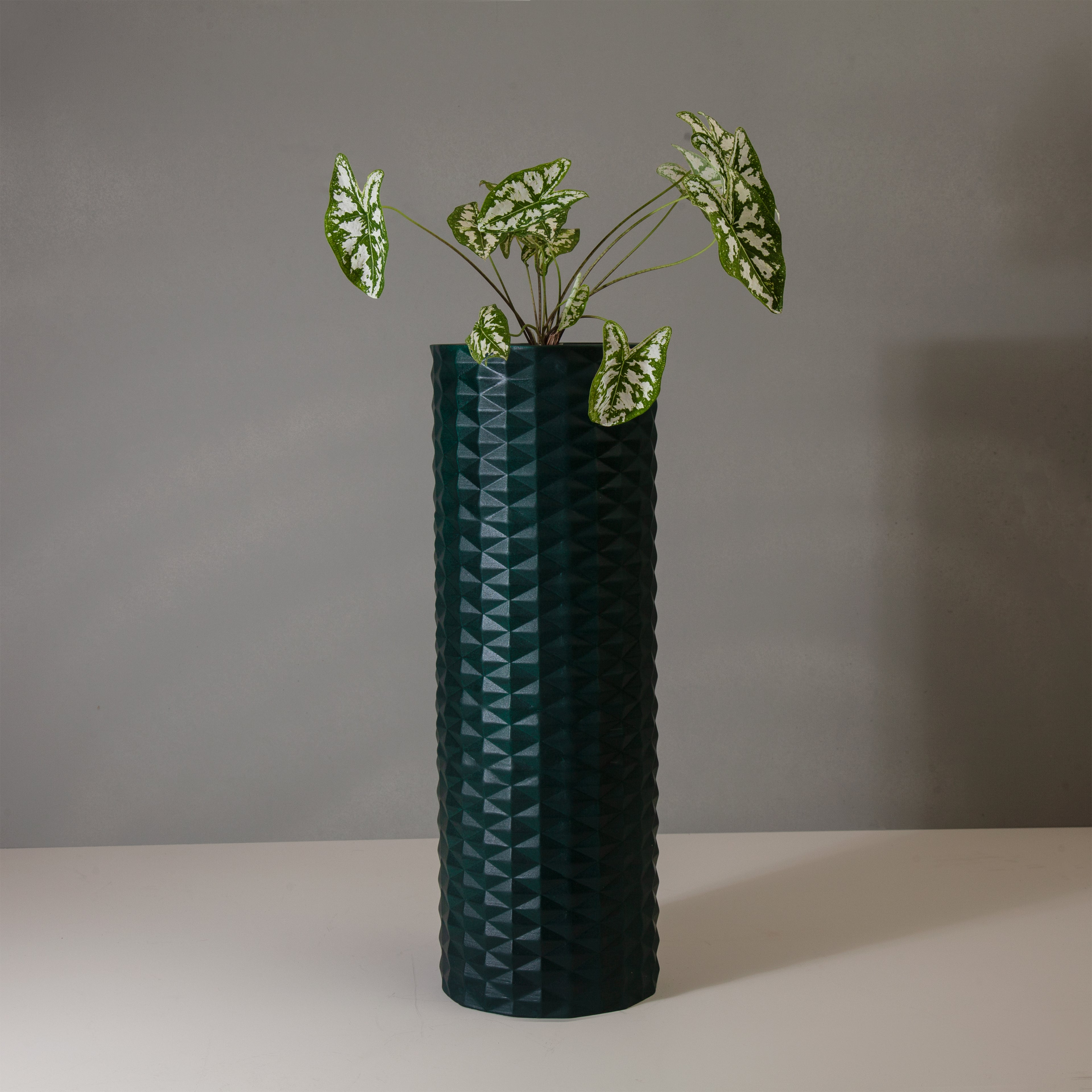 Manza L Gallery by The Workshop