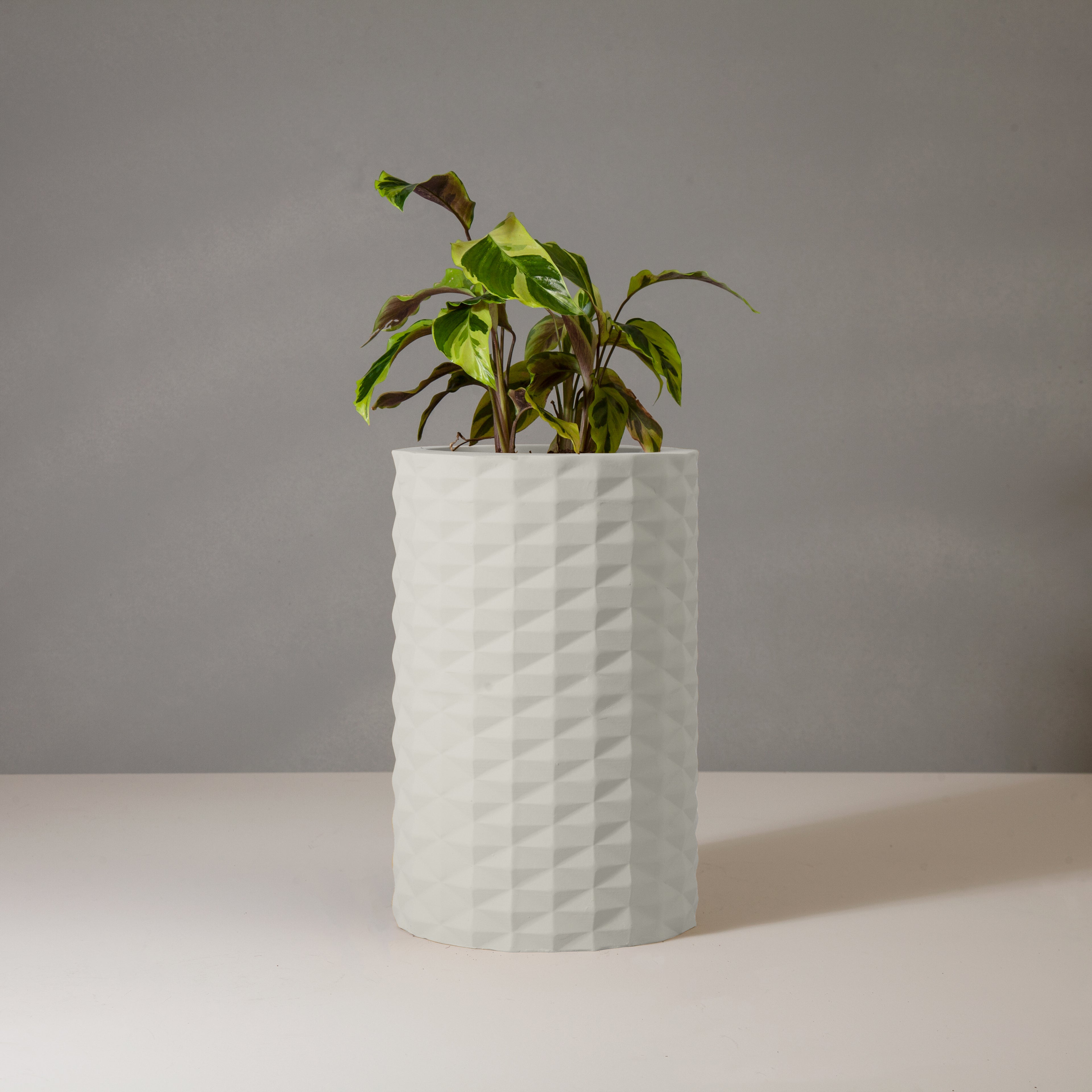 Manza M Gallery by The Workshop