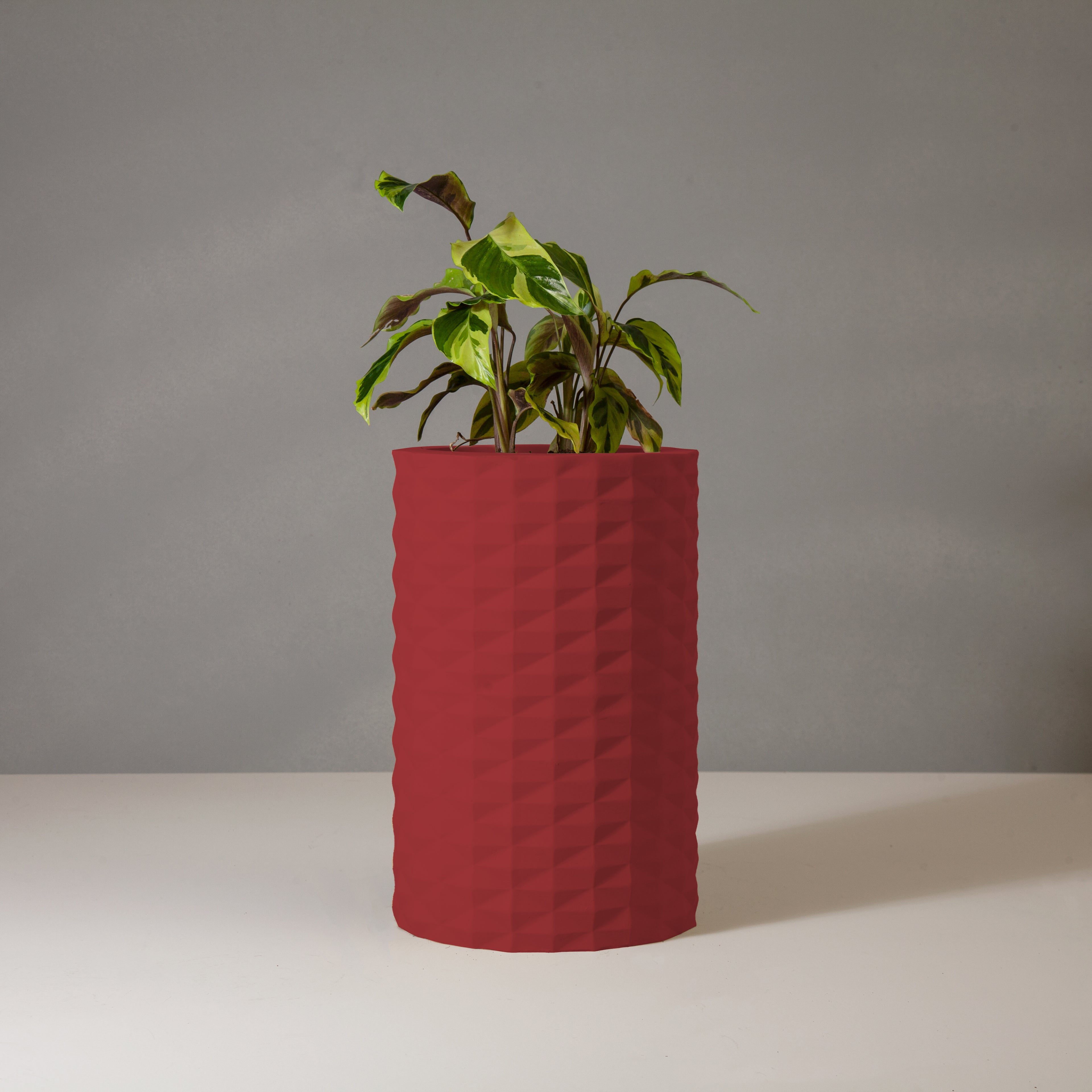 Manza M Gallery by The Workshop